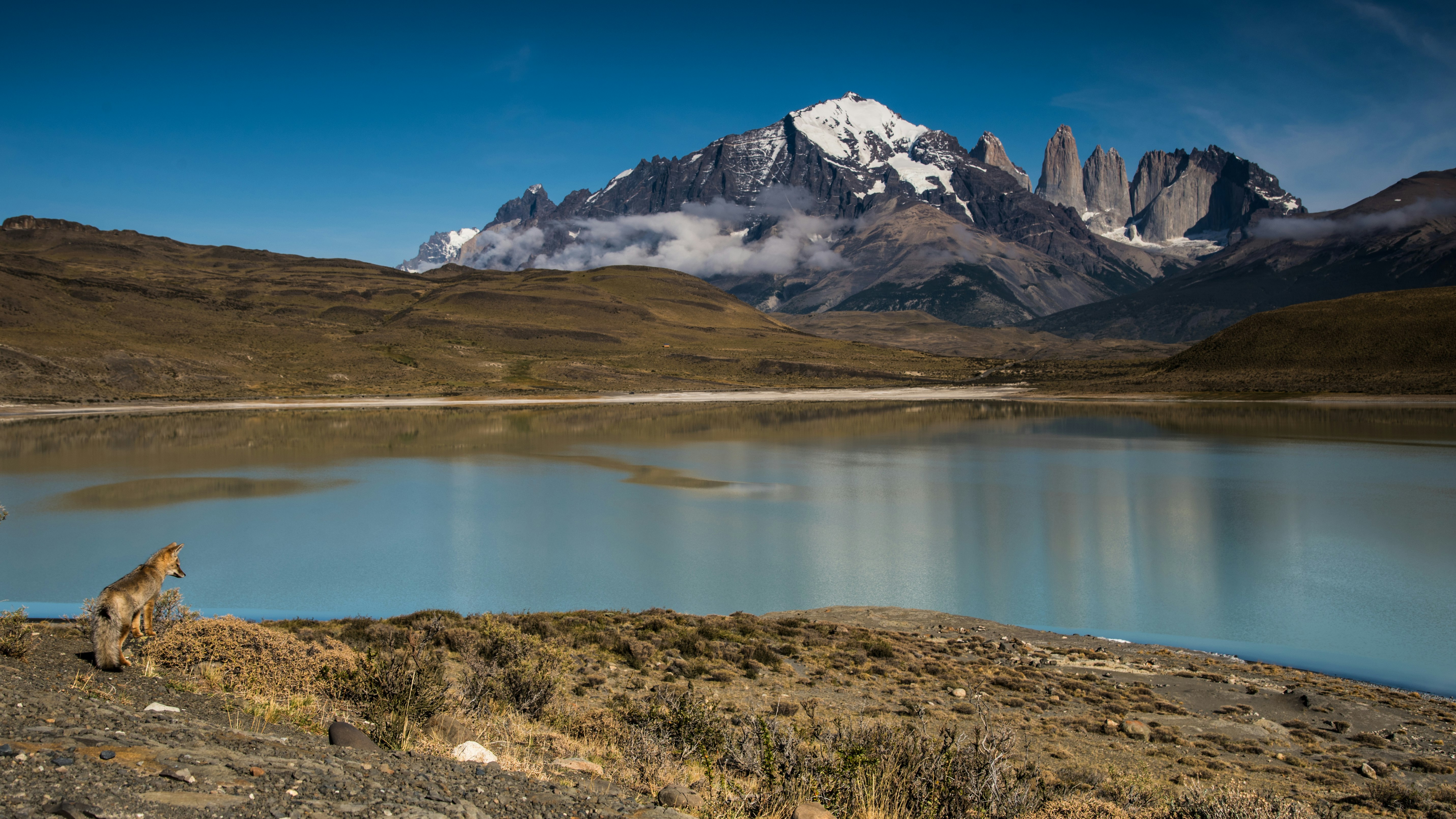 brown and white mountain near lake under blue sky during daytime